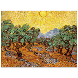 Vincent van Gogh  Olive Trees with Yellow Sky and Sun Wood Print