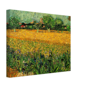 Vincent van Gogh  View of Arles with Irises in the Foreground Canvas