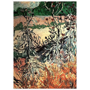 Vincent van Gogh  Thistles N2 Fine Art Poster / Art Print