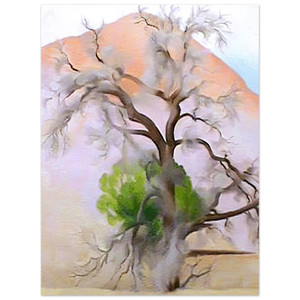 Georgia OKeeffe  Pinons with Cedar Aluminum Print