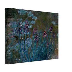 claude monet  Irises and WaterLilies Canvas