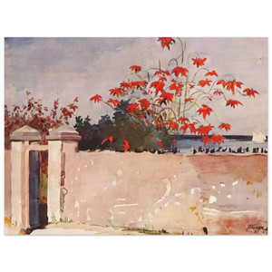 Winslow Homer  A WALL NASSAU Wood Print