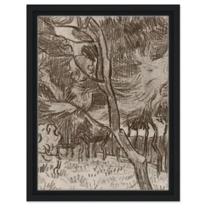 Vincent van Gogh  Pine Trees in the Garden of the Asylum Framed Canvas
