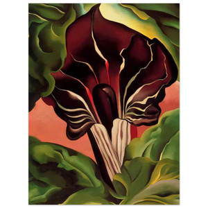 Georgia OKeeffe  JackinthePulpit II Wood Print