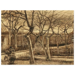 Vincent van Gogh  The Vicarage Garden Wood Print
