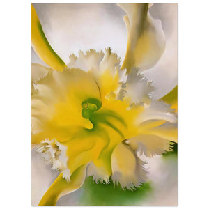 Georgia OKeeffe  An Orchid Fine Art Poster / Art Print