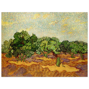 Vincent van Gogh  Olive Grove  Pale Blue Sky Wood Print