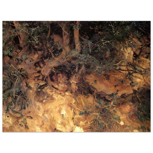 Sargent Valdemosa Majorca Thistles on a Hillside Aluminum Print