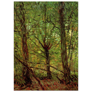 Vincent van Gogh  Trees and Undergrowth Fine Art Poster / Art Print