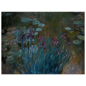 claude monet  Irises and WaterLilies Wood Print