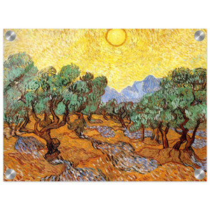 Vincent van Gogh  Olive Trees with Yellow Sky and Sun Acrylic Print