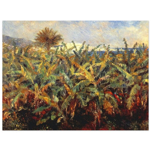 PierreAuguste Renoir  Field of Banana Trees Aluminum Print