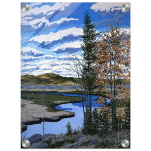 Neil Welliver  Shadow on Briggs Meadow  1981 Acrylic Print