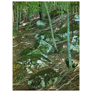 Neil Welliver  Late Light  Contemporary Realism Aluminum Print