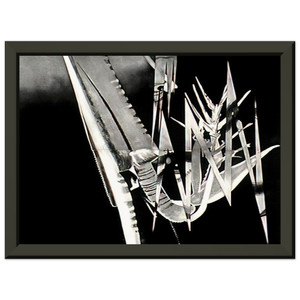 James Rosenquist  The Prickly Dark Premium Metal Framed Art Print / Poster