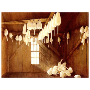 Andrew Wyeth  TOMORROW THE OUTER SHOALS Aluminum Print