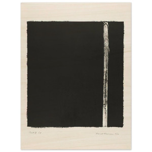 Barnett Newman  Canto V Wood Print