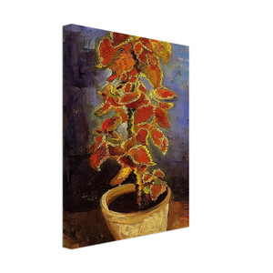 Vincent van Gogh  Coleus Plant in a Flowerpot Canvas