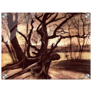 Vincent van Gogh  Study of a Tree Acrylic Print