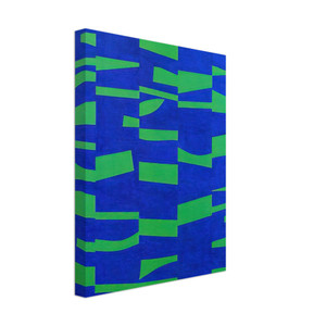 Ellsworth Kelly  The Meschers Canvas