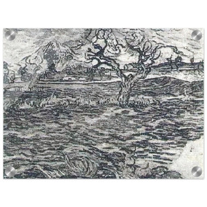 Vincent van Gogh Olive Tree Mountain Landscape Acrylic Print