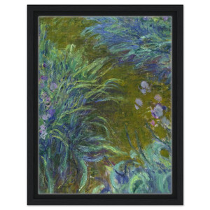 claude monet  Path through the Irises 02 Framed Canvas