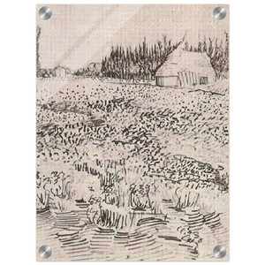 Vincent van Gogh  Landscape with Hut in the Camargue Acrylic Print