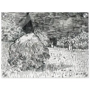Vincent van Gogh  Bush in the Park at Arles Acrylic Print