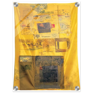 Robert Rauschenberg  SULPHUR BANK HOARFROST 1974 Acrylic Print