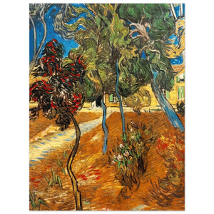 Vincent van Gogh  Trees in the Asylum Garden Aluminum Print