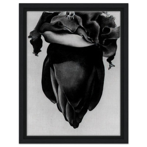 Georgia OKeeffe  Banana Flower Framed Canvas