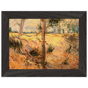 Van Gogh Trees Field Sunny Day Premium Wooden Framed Art Print / Poster