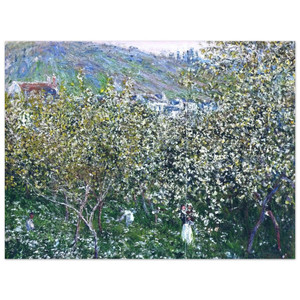 claude monet  Vetheuil Flowering Plum Trees Aluminum Print