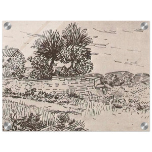 Vincent van Gogh  Landscape with the Wall of a Farm Acrylic Print