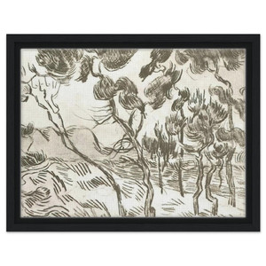 Vincent van Gogh  A Group of Pine Trees near a House Framed Canvas
