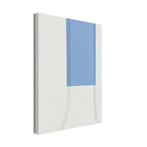 Ellsworth Kelly  Relief with Blue Canvas