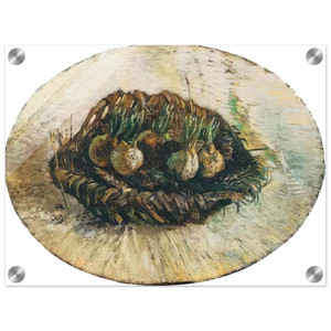 Vincent van Gogh  Basket of Sprouting Bulbs Acrylic Print