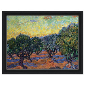 Vincent van Gogh  Olive Grove  Orange Sky Framed Canvas
