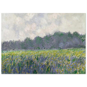 claude monet  Field of Yellow Irises at Giverny Fine Art Poster / Art Print
