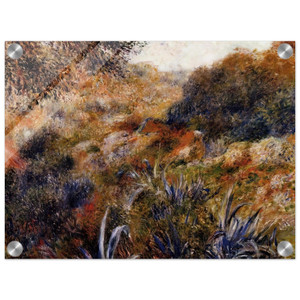 Renoir Algerian Landscape The Ravine of the Wild Women Acrylic Print