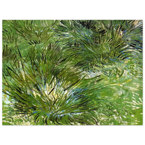 Vincent van Gogh  Clumps of Grass Aluminum Print