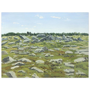 Neil Welliver  Study for Midday Barren  1972 Aluminum Print