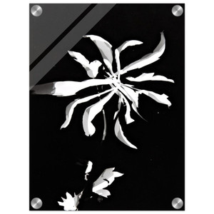 Laszlo MoholyNagy  Changing patterns Acrylic Print