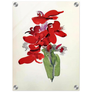 Georgia OKeeffe  Red Canna Acrylic Print