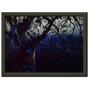 Eyvind Earle  Jewel Tree Premium Metal Framed Art Print / Poster