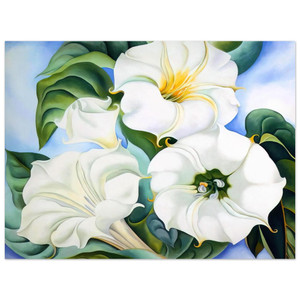 Georgia OKeeffe  Jimson Weed 3 Aluminum Print