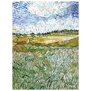 Vincent van Gogh  The Plain at Auvers Aluminum Print