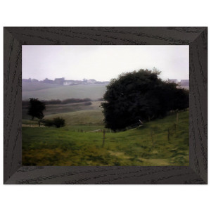 Gerhard Richter  MEADOWLAND Premium Wooden Framed Art Print / Poster