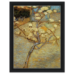 Vincent van Gogh  Pear Tree in Blossom Framed Canvas