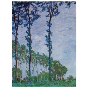 claude monet  Poplars Wind Effect Aluminum Print